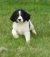 processed/7f721c81-e09d-43fc-a7bb-220ba64ba5e6/listing/b33afecb-c173-475e-b8c5-7d70a8b666fb/2a13a959-ef14-4d6d-a8d7-9763a409c0f9