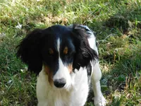 processed/7f721c81-e09d-43fc-a7bb-220ba64ba5e6/listing/b33afecb-c173-475e-b8c5-7d70a8b666fb/4dfefff4-2459-4770-95a2-7661b99bb2ac