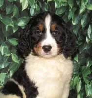 processed/7f721c81-e09d-43fc-a7bb-220ba64ba5e6/listing/b33afecb-c173-475e-b8c5-7d70a8b666fb/70928ad8-93e1-4bdd-ad28-f51155f14ffd