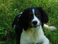 processed/7f721c81-e09d-43fc-a7bb-220ba64ba5e6/listing/b33afecb-c173-475e-b8c5-7d70a8b666fb/92e3211f-02e6-4354-a697-d7088ff9bf3e