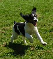 processed/7f721c81-e09d-43fc-a7bb-220ba64ba5e6/listing/b33afecb-c173-475e-b8c5-7d70a8b666fb/d88fa1cb-0a8c-4168-9676-17308af44564