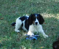 processed/7f721c81-e09d-43fc-a7bb-220ba64ba5e6/listing/b33afecb-c173-475e-b8c5-7d70a8b666fb/ed1f08d9-9b1c-44c4-98bf-6a212385951a