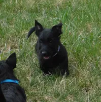 processed/7f721c81-e09d-43fc-a7bb-220ba64ba5e6/listing/cc7e27df-7acb-4276-9b95-b5118b371615/20713a0e-5692-4b46-abb3-078b83f82ff8