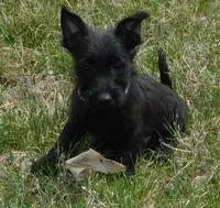 processed/7f721c81-e09d-43fc-a7bb-220ba64ba5e6/listing/cc7e27df-7acb-4276-9b95-b5118b371615/5e1c0015-8a30-42ee-9625-2408fdbd1cb2