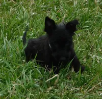 processed/7f721c81-e09d-43fc-a7bb-220ba64ba5e6/listing/cc7e27df-7acb-4276-9b95-b5118b371615/6310b082-fe19-4718-b301-4b1520b7121f