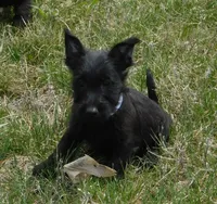 processed/7f721c81-e09d-43fc-a7bb-220ba64ba5e6/listing/cc7e27df-7acb-4276-9b95-b5118b371615/f10184be-9465-4969-b6c6-1d44f6e4ae70