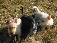 processed/7f721c81-e09d-43fc-a7bb-220ba64ba5e6/listing/d0c4ed51-eed6-4fe2-8351-4e3c55f8baf6/30cf59f4-4dde-45c6-bc08-6ef76783e907