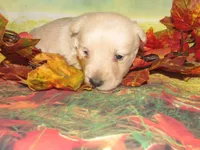 processed/7f721c81-e09d-43fc-a7bb-220ba64ba5e6/listing/d0c4ed51-eed6-4fe2-8351-4e3c55f8baf6/88266e26-f3d8-4752-b5fd-19ed1322a27b