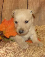 processed/7f721c81-e09d-43fc-a7bb-220ba64ba5e6/listing/d0c4ed51-eed6-4fe2-8351-4e3c55f8baf6/8f49ded8-7c28-42d1-bfd3-e3e189b26ea1