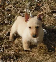 processed/7f721c81-e09d-43fc-a7bb-220ba64ba5e6/listing/d0c4ed51-eed6-4fe2-8351-4e3c55f8baf6/ef4dd5e6-4ccb-43e3-8306-afb5645502a1