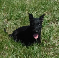 processed/7f721c81-e09d-43fc-a7bb-220ba64ba5e6/listing/ea609a1c-74ef-4b1a-8082-edd9f6249fee/4017f9cd-2d47-4d84-bd5d-4a887313f9e7