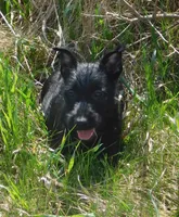 processed/7f721c81-e09d-43fc-a7bb-220ba64ba5e6/listing/ea609a1c-74ef-4b1a-8082-edd9f6249fee/8c0ffe86-c0b5-499e-ba0f-d6cef6f4760f