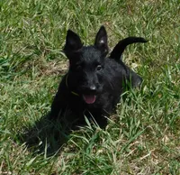 processed/7f721c81-e09d-43fc-a7bb-220ba64ba5e6/listing/ea609a1c-74ef-4b1a-8082-edd9f6249fee/ad54815a-6aeb-4adf-a5a9-1f69c8c81d29