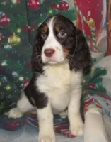 processed/7f721c81-e09d-43fc-a7bb-220ba64ba5e6/listing/ebdda934-17b3-4b40-aa7d-30c471361bfe/618d928a-87bd-4070-8b31-9d5884c2d987