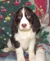 processed/7f721c81-e09d-43fc-a7bb-220ba64ba5e6/listing/ebdda934-17b3-4b40-aa7d-30c471361bfe/8d41ce75-ba5c-4e1b-9ef2-e964ef7c25a7