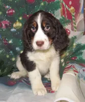 processed/7f721c81-e09d-43fc-a7bb-220ba64ba5e6/listing/ebdda934-17b3-4b40-aa7d-30c471361bfe/ebbd4529-a775-472d-a7da-ffd51a870ef8