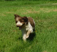 processed/7f721c81-e09d-43fc-a7bb-220ba64ba5e6/listing/f756698b-e855-43f2-98ce-3704b796ddd2/0640b089-5856-4b96-83c3-2e441258b535