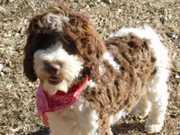 processed/7f721c81-e09d-43fc-a7bb-220ba64ba5e6/listing/f756698b-e855-43f2-98ce-3704b796ddd2/0af84f21-3f92-43a9-a692-37e3462119f7