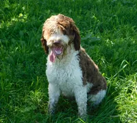 processed/7f721c81-e09d-43fc-a7bb-220ba64ba5e6/listing/f756698b-e855-43f2-98ce-3704b796ddd2/2f8f9daf-374d-4456-a995-7da49df70995