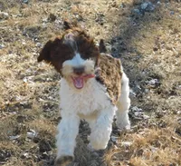 processed/7f721c81-e09d-43fc-a7bb-220ba64ba5e6/listing/f756698b-e855-43f2-98ce-3704b796ddd2/3bfde6ef-59b2-4103-9f44-df9bde5b51e0