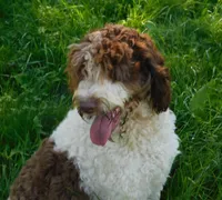 processed/7f721c81-e09d-43fc-a7bb-220ba64ba5e6/listing/f756698b-e855-43f2-98ce-3704b796ddd2/3c5f035f-f51d-4fa7-b1f6-c963bfdfc58f