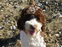 processed/7f721c81-e09d-43fc-a7bb-220ba64ba5e6/listing/f756698b-e855-43f2-98ce-3704b796ddd2/48901027-d7e5-4dc7-878e-12845921706d