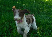 processed/7f721c81-e09d-43fc-a7bb-220ba64ba5e6/listing/f756698b-e855-43f2-98ce-3704b796ddd2/7499dd95-1567-4a99-bd4f-d9b510607655