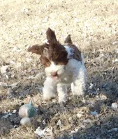 processed/7f721c81-e09d-43fc-a7bb-220ba64ba5e6/listing/f756698b-e855-43f2-98ce-3704b796ddd2/d294af7c-76ab-4a4e-8ef9-07274783615e