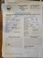 Aowen, a female German Shepherd Dog for sale in Spring Green, WI – Photo 6 of 8