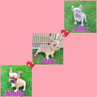 processed/7f815020-09aa-47b4-b9d1-99d632fa9e19/facility/b5ed5c94-7b2f-4633-98cf-38d75be492e9