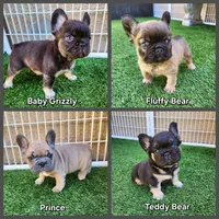 processed/7f815020-09aa-47b4-b9d1-99d632fa9e19/facility/c7b79db9-6936-4e8c-bceb-3aefd419adfa