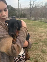 processed/7f82f943-83e9-4550-a92e-e247c5fd1640/listing/2956732f-3509-4527-a90f-6c382b2dbb12/11cdaf9e-2b22-4590-87a2-a78084d984d6