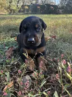 processed/7f82f943-83e9-4550-a92e-e247c5fd1640/listing/2956732f-3509-4527-a90f-6c382b2dbb12/23b81c01-cff6-4fc8-8d78-96a03f555b96