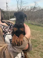 processed/7f82f943-83e9-4550-a92e-e247c5fd1640/listing/2956732f-3509-4527-a90f-6c382b2dbb12/b8fdcdb7-1279-4c84-a0f4-cb9096b00a94