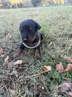 processed/7f82f943-83e9-4550-a92e-e247c5fd1640/listing/2956732f-3509-4527-a90f-6c382b2dbb12/ecb47094-3011-4b7d-a389-6b70b55f24cc