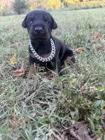 processed/7f82f943-83e9-4550-a92e-e247c5fd1640/listing/ea0b7095-fa17-4b33-b795-12c8d1f3ac95/61c82b74-62d3-428e-926f-8736d17d3141