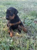 processed/7f82f943-83e9-4550-a92e-e247c5fd1640/listing/ea0b7095-fa17-4b33-b795-12c8d1f3ac95/72d45416-4529-4567-86d3-fbfc9c379c20