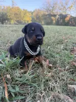 processed/7f82f943-83e9-4550-a92e-e247c5fd1640/listing/ea0b7095-fa17-4b33-b795-12c8d1f3ac95/7f0e2308-5966-4b42-ad0d-32ff7863a9a2