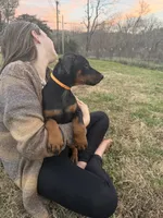 processed/7f82f943-83e9-4550-a92e-e247c5fd1640/listing/ea0b7095-fa17-4b33-b795-12c8d1f3ac95/9ecbc9f1-020c-4976-bc24-7927d3551fba