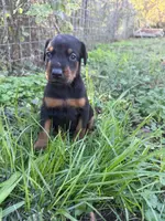 processed/7f82f943-83e9-4550-a92e-e247c5fd1640/listing/ea0b7095-fa17-4b33-b795-12c8d1f3ac95/ec1f1e01-8703-4408-888f-2f14e83b3d28