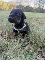 processed/7f82f943-83e9-4550-a92e-e247c5fd1640/listing/ea0b7095-fa17-4b33-b795-12c8d1f3ac95/eec5e497-3259-4398-bfd6-e1990e97abf9