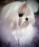 processed/7f8ec64b-7a4c-49b3-b2aa-a6ac0ba5af08/listing/3ee0ce36-0fbd-4895-b772-d5fe6506937d/0bf37c59-2caa-4358-8b48-002cf884dd5b