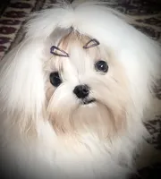 processed/7f8ec64b-7a4c-49b3-b2aa-a6ac0ba5af08/listing/3ee0ce36-0fbd-4895-b772-d5fe6506937d/19e8e17f-46f2-464d-a263-b20e84198f55