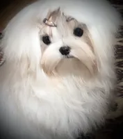 processed/7f8ec64b-7a4c-49b3-b2aa-a6ac0ba5af08/listing/3ee0ce36-0fbd-4895-b772-d5fe6506937d/56a96154-3d91-43e1-92af-e509b9ffed0c