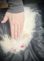 processed/7f8ec64b-7a4c-49b3-b2aa-a6ac0ba5af08/listing/3ee0ce36-0fbd-4895-b772-d5fe6506937d/570efb69-edae-4ce0-adda-7d8ad346e2df