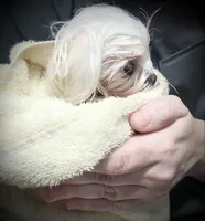 processed/7f8ec64b-7a4c-49b3-b2aa-a6ac0ba5af08/listing/3ee0ce36-0fbd-4895-b772-d5fe6506937d/605eddb8-80ca-4c68-a2aa-97bae155af03