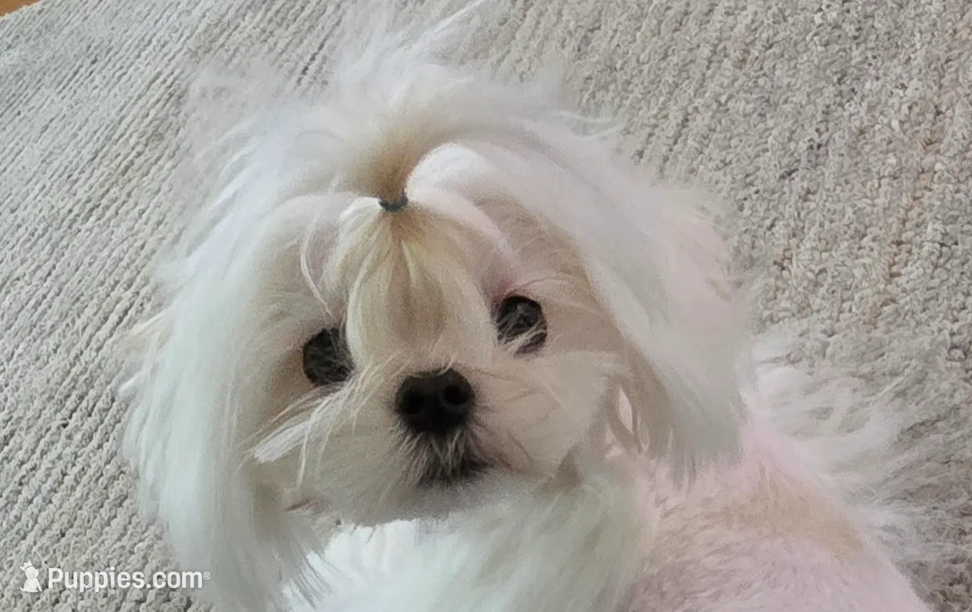 processed/7f8ec64b-7a4c-49b3-b2aa-a6ac0ba5af08/listing/9d8352a1-4fb8-4fa2-adc2-810880c9a243/af2a7d99-d232-42e0-951e-7b7d2747e602