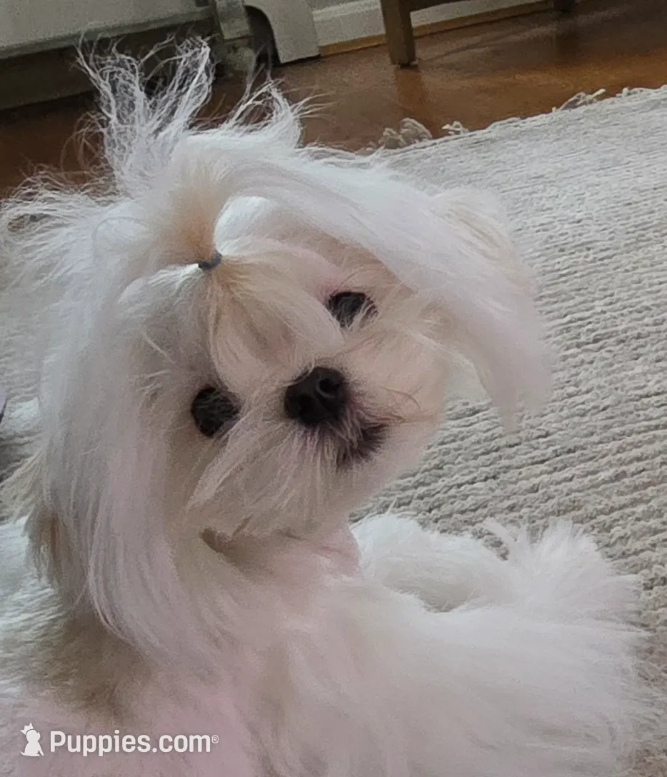 processed/7f8ec64b-7a4c-49b3-b2aa-a6ac0ba5af08/listing/9d8352a1-4fb8-4fa2-adc2-810880c9a243/b2960972-9e8f-4e0d-94e6-2fc471394fbb