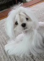 processed/7f8ec64b-7a4c-49b3-b2aa-a6ac0ba5af08/listing/9d8352a1-4fb8-4fa2-adc2-810880c9a243/bc339bb8-4211-43e4-a71d-eef2f61a3061