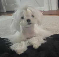 processed/7f8ec64b-7a4c-49b3-b2aa-a6ac0ba5af08/listing/9d8352a1-4fb8-4fa2-adc2-810880c9a243/fe9548ee-81e2-4671-98d0-c1c56bf35b07